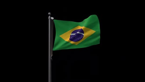 Realistic Waving Brazil National Flag on Pole