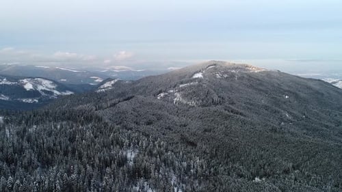Snowy Mountain Range and Evergreen Forest Aerial View