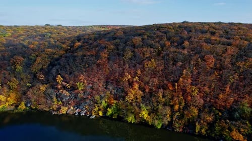 Drone Flying Over the Autumn Forest