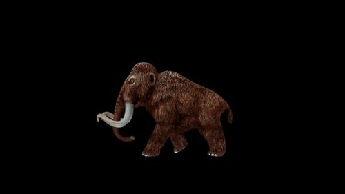 Mammoth Walk