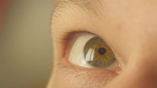 Look gray-green eyes of the young man, close-up, light background