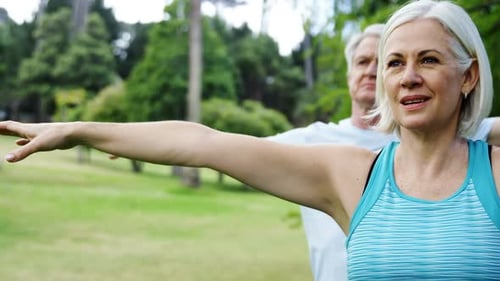 Senior couple doing exercise in the park