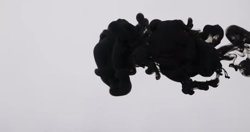 Black Ink Slowly Swirling Through Water
