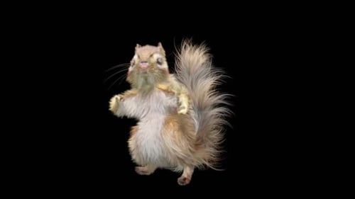 Chipmunk: Tanzen HD