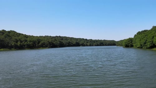 aerial lake forest