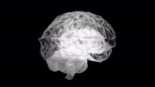 Futuristic Particle Brain Rotating for Medical Science