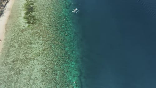 Aerial view of boats and snorkelers above a tropical coral reef