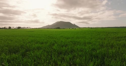 Luftbild