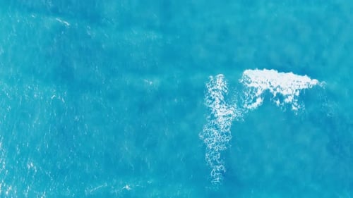 Waves In The Sea