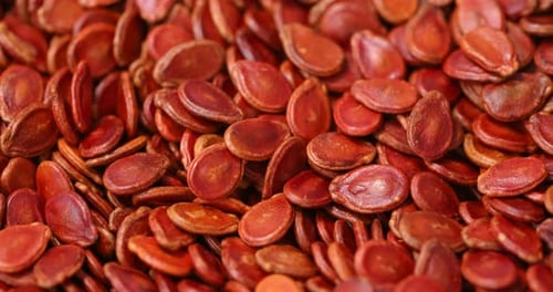 Red watermelon seed