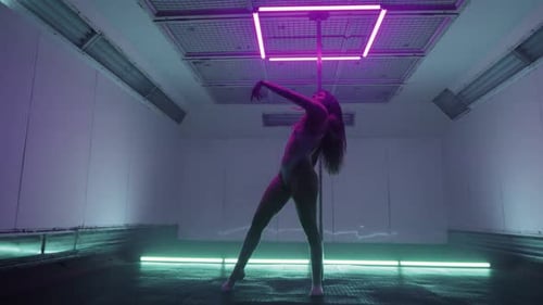 Poledance sensual
