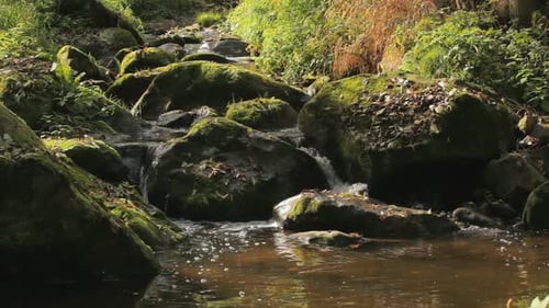 Falls on the small mountain creek