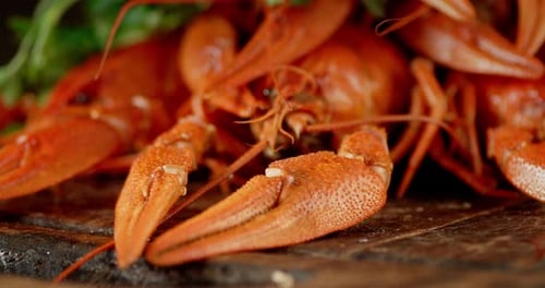 Boiled Crayfish on the Cutting Board Rotate.