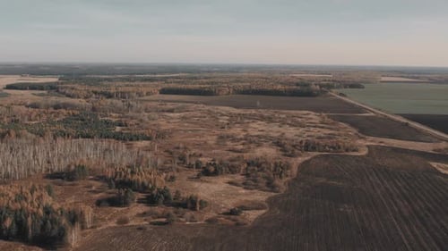 Aerial View of Fields and Forests