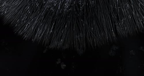 Crystal