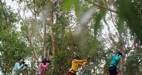 Young Adults on Forest Adventure Ropes Course