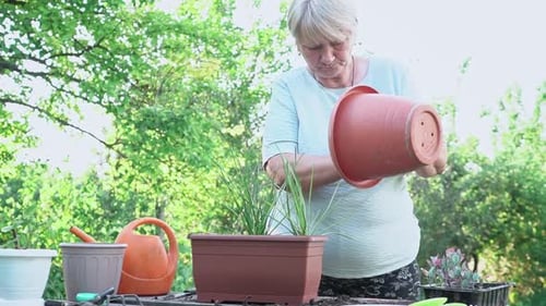 Jardinería en casa