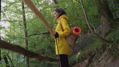 Traveler is Resting During Hiking in Forest Woman with Backpack is Admiring Nature