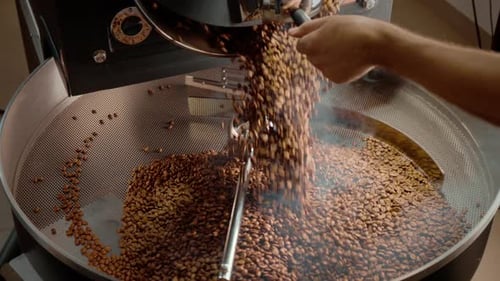 Roasted Coffee Beans Poured Onto Cooling Pan