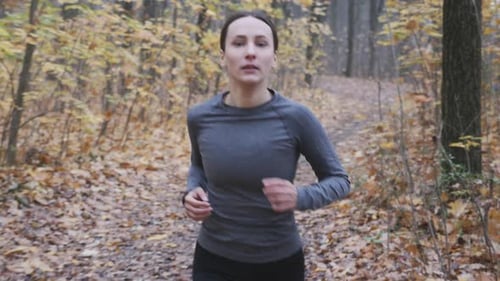 Beautiful sportive fit female hard training for running competition in autumn forest. Run concept