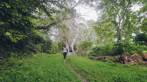 Young Woman and Man with Backpack Walking on Footpath in Rainforest. Tourist Couple Walking in Green