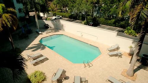 Swimming Pool and Palm Trees are Sitting in a Crowd By the Pool
