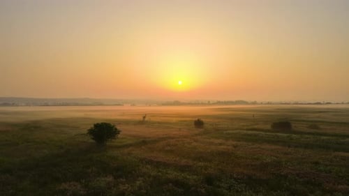 Aerial Landscape View of Sunny Morning Over Foggy Green Fields