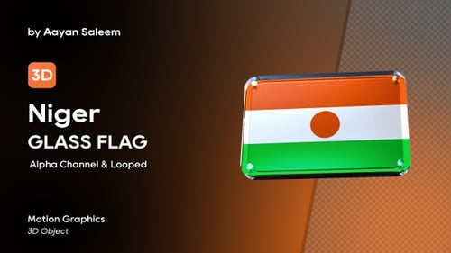 Niger Flag Glossy 3D Plate Rotating Animation
