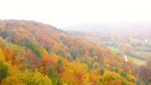 View From the Height on a Bright Yellow Autumn Forest