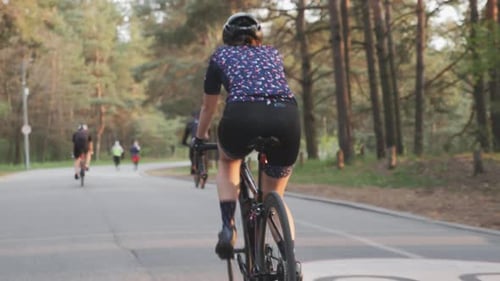 Cyclists Riding Bicycles on Road Through Green Park