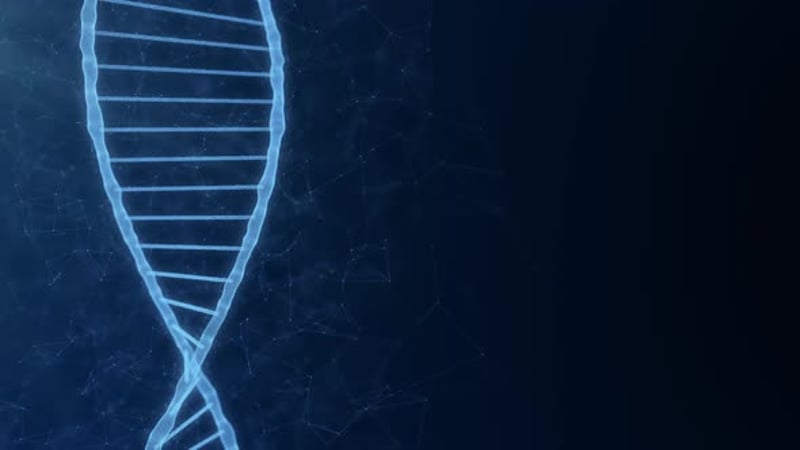 Abstract Animation of DNA Molecule Particles Digital DNA Human Genome ...