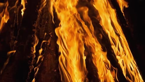 Ein großes Lagerfeuer brennt in der Nacht. Feuer-Flamme-Hintergrund. Zeitlupe 240 Fps