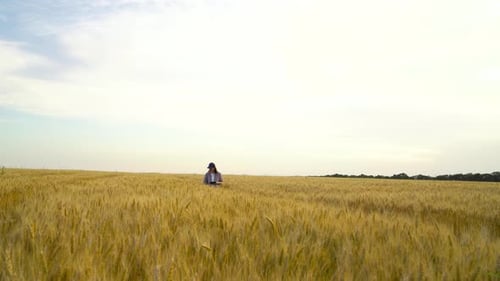 Woman Walking Through Golden Wheat Field on Sunny Day