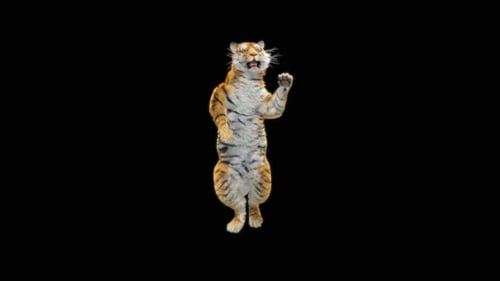 Tiger-Tanz HD