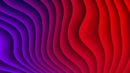 Flowing Abstract Purple Red Wavy Lines Background Loop