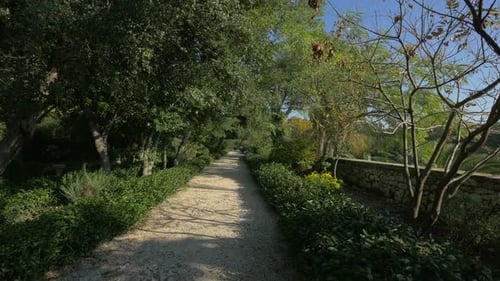 Gasse im Park