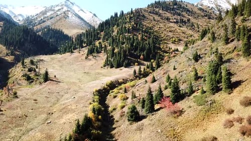 Aerial View of Mountains and Forest Landscape