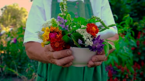 Person Holds Bowl of Flowers in Garden Setting
