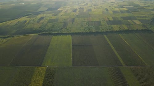Aerial View of Furrows Row Pattern in a Plowed Field Prepared for Planting Crops in Spring