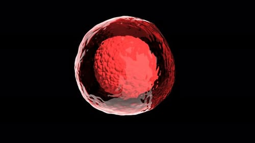 Cell Medic Health Care Biology Concept Able to Loop Seamless