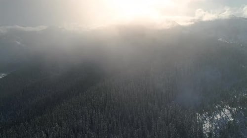 Winter Mountain Flight In Hazy Fog Clouds Over Snowy Trees