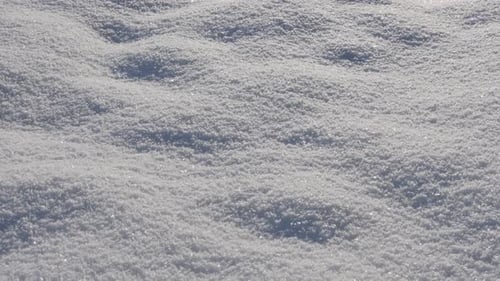 Close Up of White Snow Texture in Winter