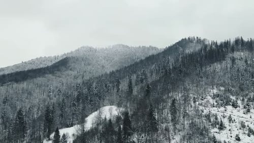 Snowy Mountains and Trees on an Overcast Day