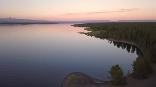 Aerial view flying over coastline of lake and forest