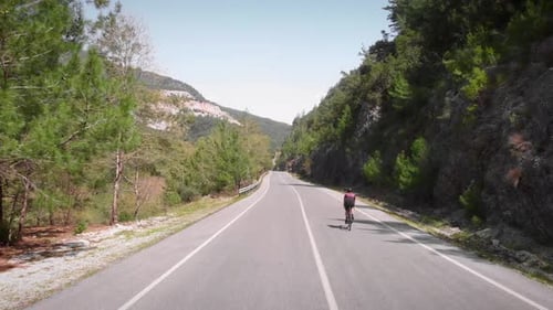 Cyclist Rides Down Country Road in Sunlight