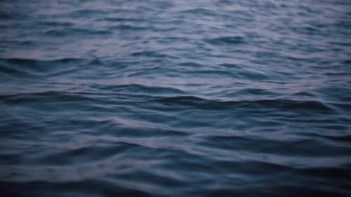 Gentle Ocean Waves Rippling on the Sea