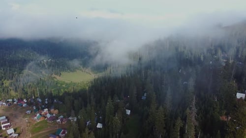 Cloud and forest aerial view