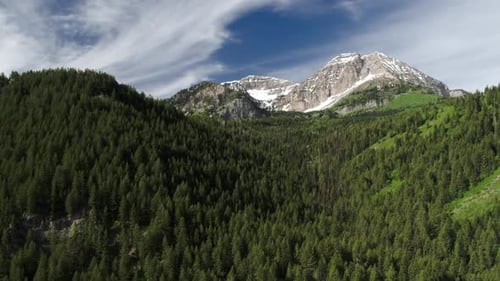 Aerial panning view of mountain behind forest of pine trees.