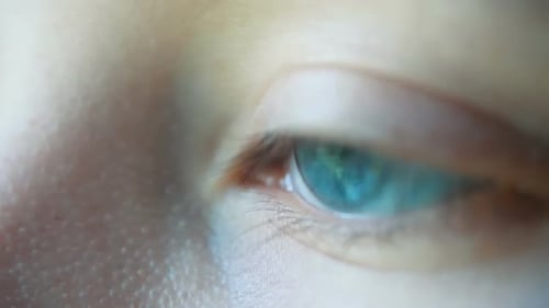 Nahaufnahme einer Makroaufnahme eines weiblichen menschlichen, blauen grünen, sich öffnenden