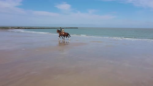 Luftaufnahme von Menschen, die entlang der Küste in Belgien reiten.